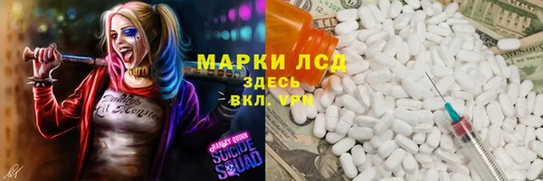 ECSTASY Богданович